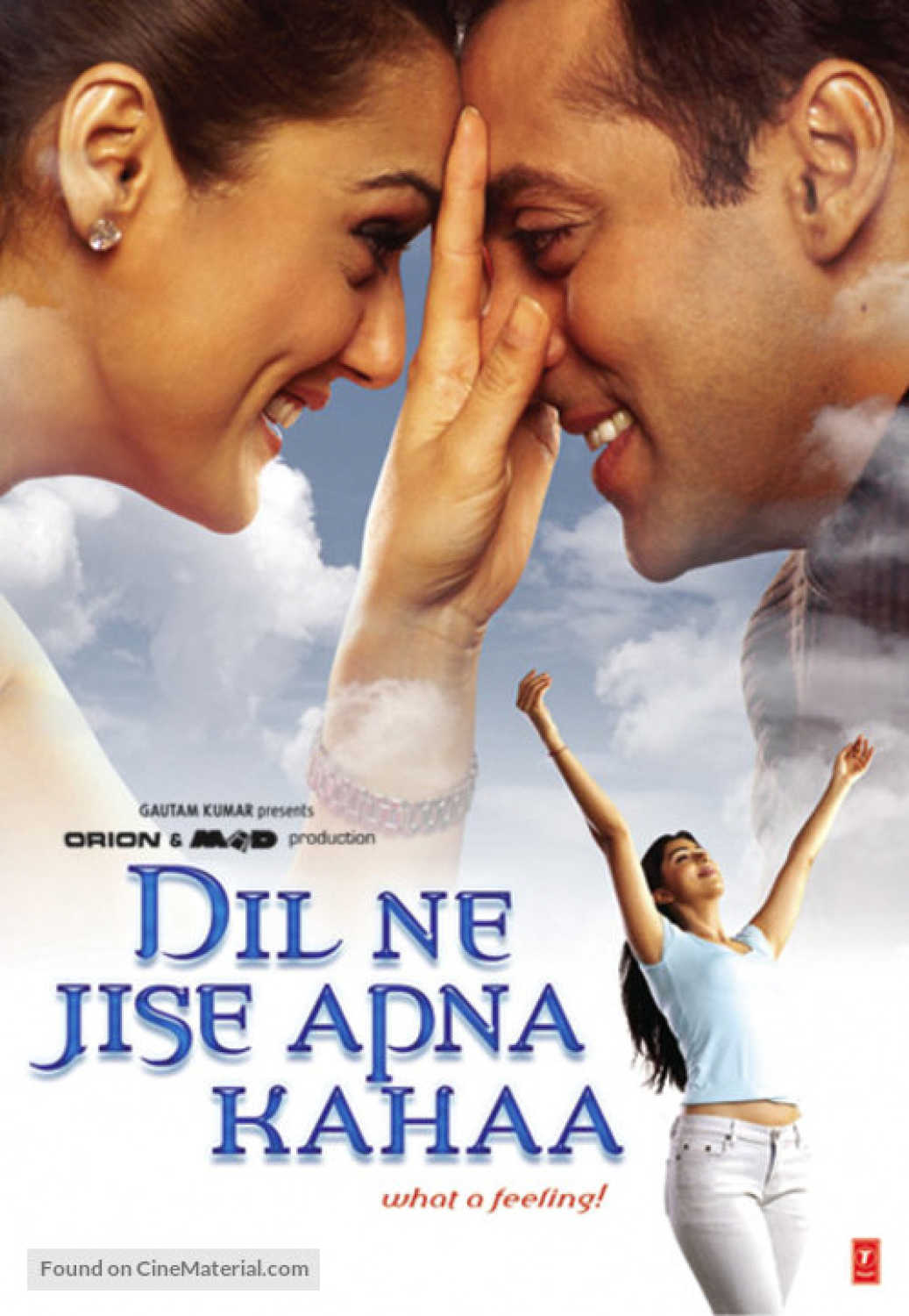 dil-ne-jise-apna-kahaa-2004-711-poster.jpg