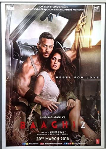 baaghi-2-2018-2695-poster.jpg