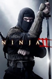 ninja-shadow-of-a-tear-2013-hindi-dubbed-23482-poster.jpg